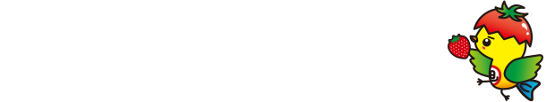 潮風とともに走ろう！　旭市飯岡しおさいマラソン大会